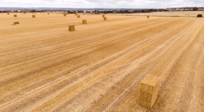 Aerial view of a harvested straw field on which the straw is placed in square bales to symbolize the broad regional availability